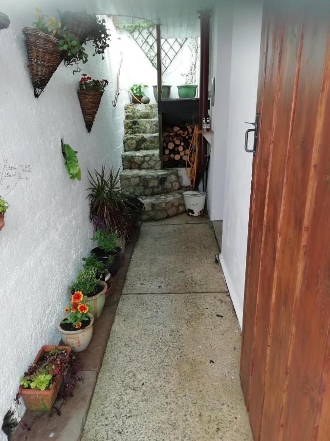 Clearview Cottage เซนต์ออสเทลล์ ภายนอก รูปภาพ